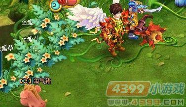 怪物世界彩虹森林