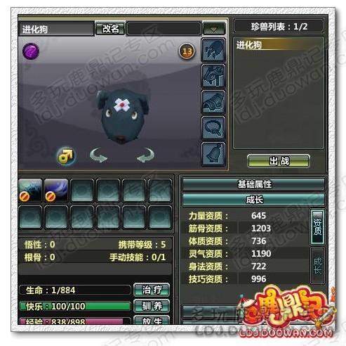 新人小教程，關(guān)于寵物和雇兵成長(zhǎng)及選擇