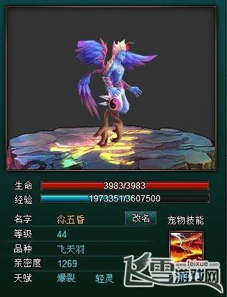 长生战道华山论剑五大橙宠有哪些