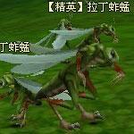 论坛攻略—0513
