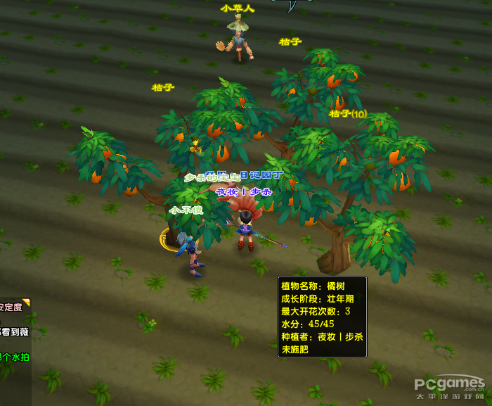 鹿鼎记帮会种植经验分享 提升帮派资金
