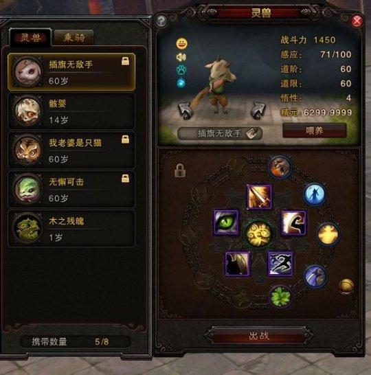 灵猴宠物选择