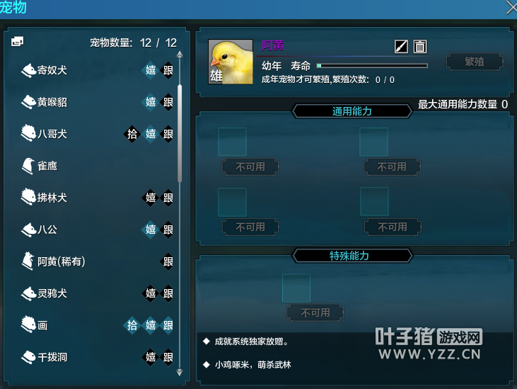 小黃雞