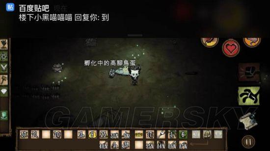 逗游