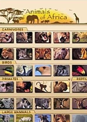 非洲动物拼图专区