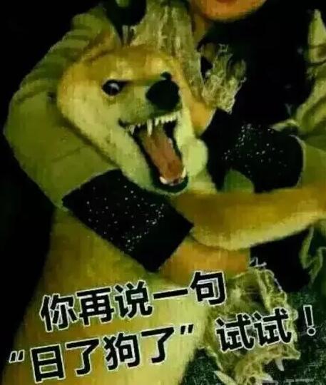 LOLӢ۵Ŀƹϵ̵ Сѧһ