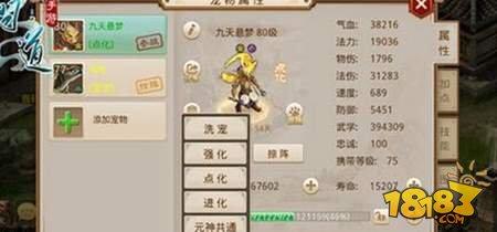 问道手游宠物元神使用指南 新宠养成必备
