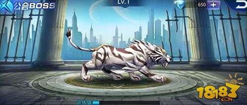 天天炫斗公会幻境boss怎么参加 