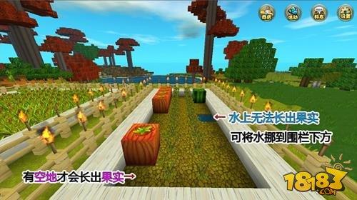 迷你世界手游怎么建农场 手把手教你种庄稼技巧