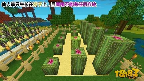 迷你世界手游怎么建农场 手把手教你种庄稼技巧