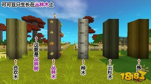 迷你世界手游怎么建农场 手把手教你种庄稼技巧