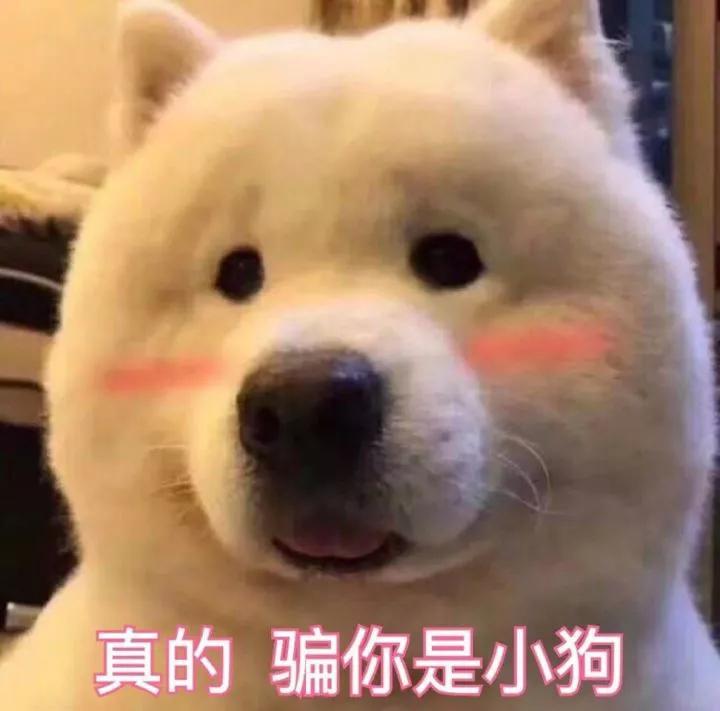 王者之路很難？放棄你的李白 不妨用這四大英雄試試