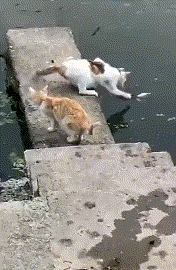 ںͼVOL354˶סҵʺ