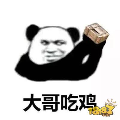 绝地求生刺激战场肾上腺素 效果堪比打鸡血