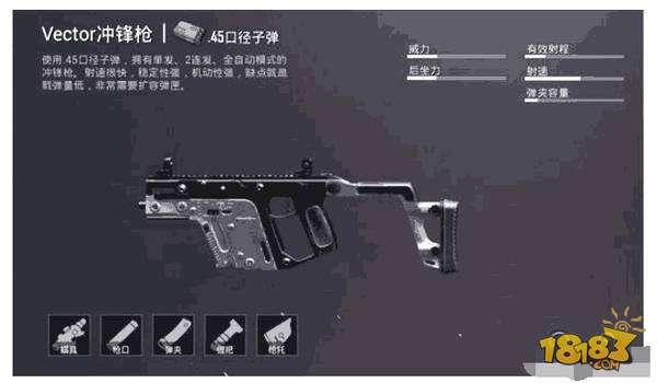 刺激战场Vector全面解析