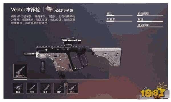 刺激战场Vector全面解析