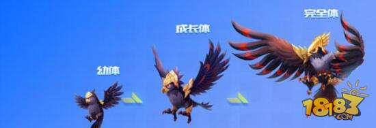 QQ飞车手游逆天鹰好不好 逆天鹰属性技能介绍