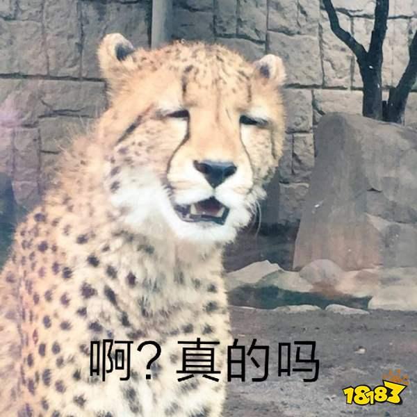 陰陽(yáng)師蒼風(fēng)一目連攻略 御魂搭配及用法