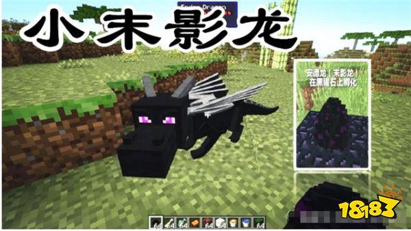 我的世界玩家常犯的认知错误 末影人才不是小弟