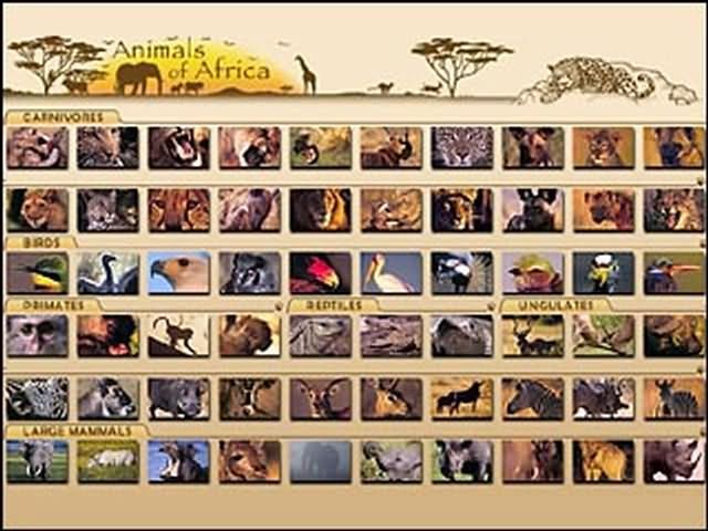 非洲动物拼图图片