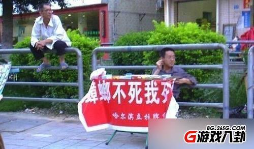 蟑螂不死我死！那些写广告词的都是神仙啊