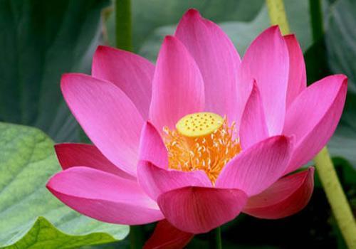 实景VS原画 哥们网《天界》虚拟画境全方位解析