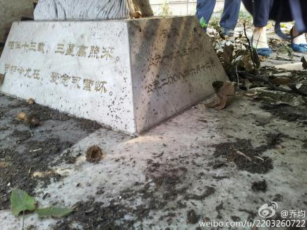 紫金山現(xiàn)“天價”狗墓