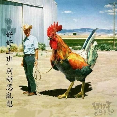 冷知識(shí)最新圖片