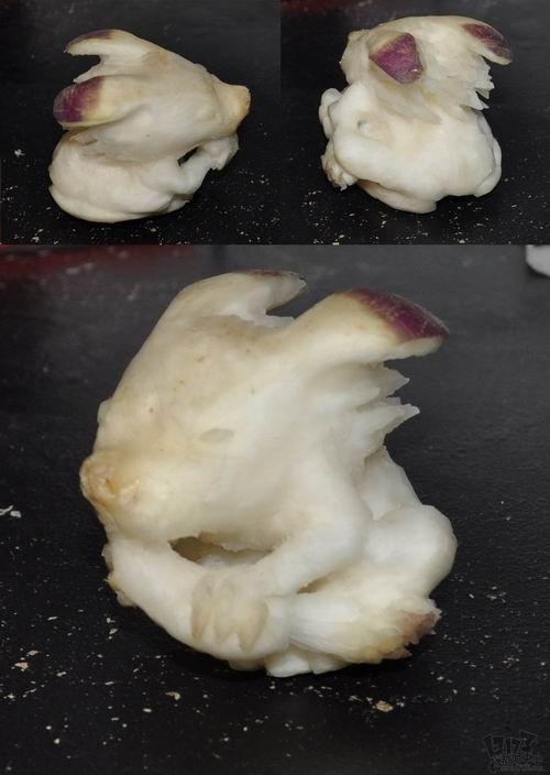 暴雪最新图片