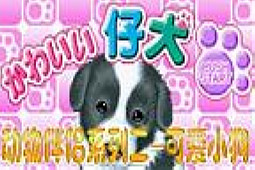 动物伴侣系列二-可爱小狗