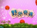 亿万人的狂欢 天龙八部天降灵兽今日登场