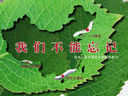 中国产街机被指种族歧视 反日情绪也能对外出口