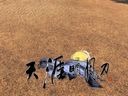 天涯明月刀成就系统详解