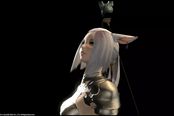 FF14小师妹成长记 写给不大会玩的妹纸们