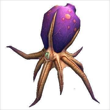 魔獸6.0正式上線前可獲得的八大新寵物一覽
