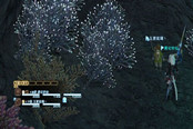 不想打排什么随机 FF14最大毒瘤是普通火神