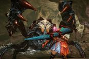 MHO10级BOSS攻略 揭秘隐士之森三巨头