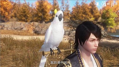 圖片7