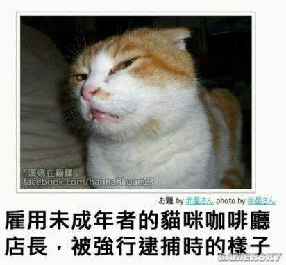 逗游網(wǎng)