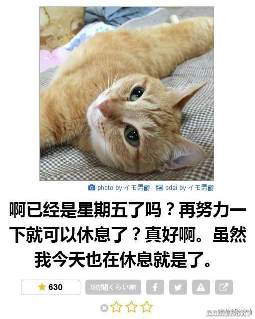 逗游網(wǎng)