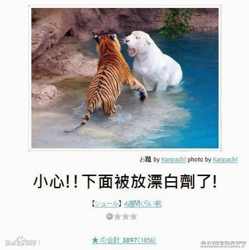 逗游網(wǎng)