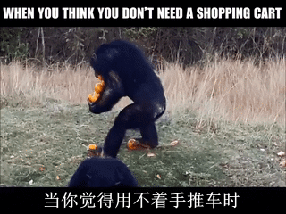 逗游网