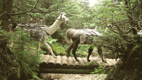 逗游網(wǎng)