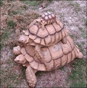 逗游网