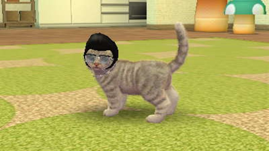 任天猫狗图片