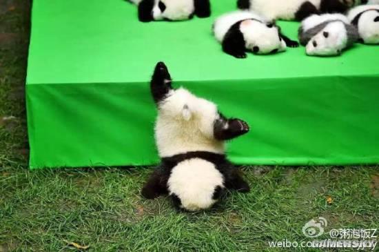 逗游網(wǎng)
