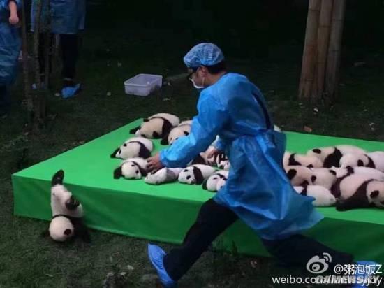 逗游網(wǎng)
