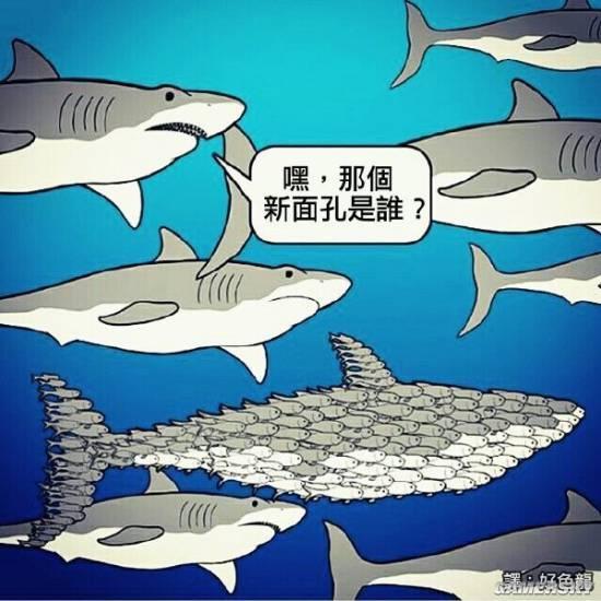 逗游網(wǎng)