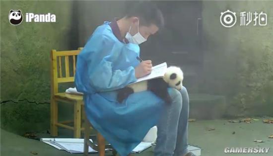 逗游網