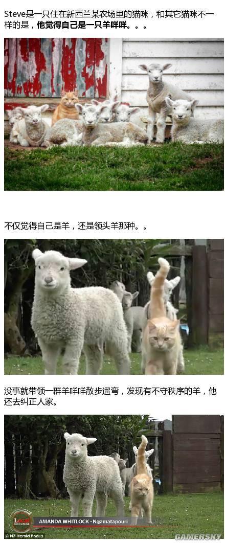 逗游網(wǎng)